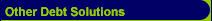 Other Debt Solutions